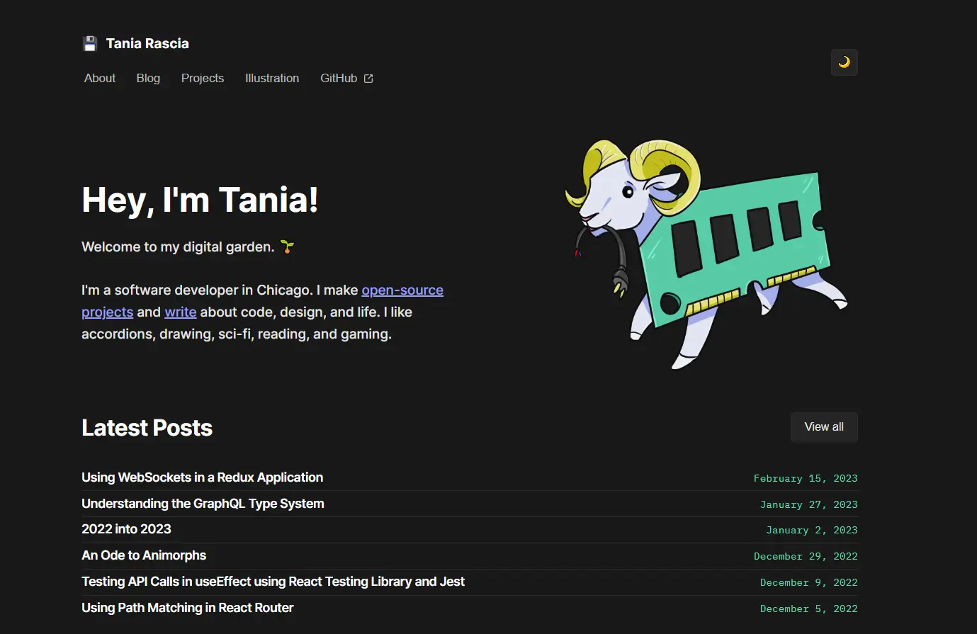 Tania Rascia's front end developer portfolio